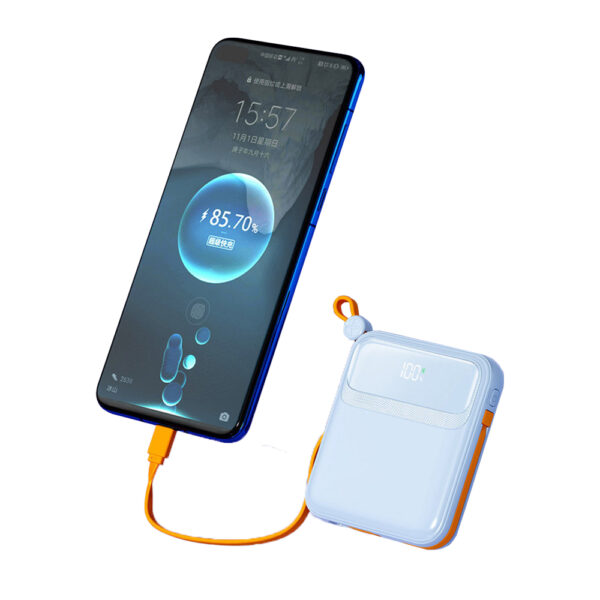 共享充电宝锂电池10000mAh - 图片 2